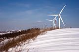 Wind turbines on snowy hill