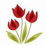 vector tulip