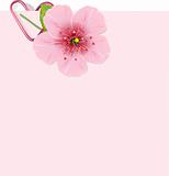 Cherry blossom Letter
