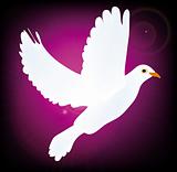 symbol of peace pigeon