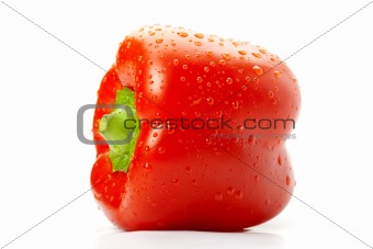 Close-up of a wet Bell pepper