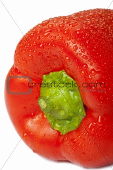 excellent red pepper with water drops on