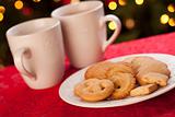 Hot Chocolate and Cookies in Front of Holiday Lights.