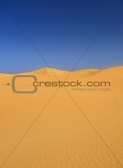 sand dunes and cloudless dark sky