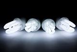 Compact Fluorescent Light bulbs