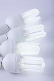 Compact Fluorescent Light bulbs