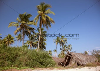 the shack on the  beach