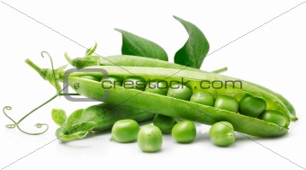 fresh pea in the pod with green leaves