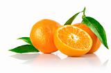 fresh mandarine fruits with cut and green leaves