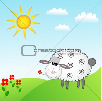 sheep background