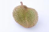 tropical fruit durian with white background