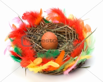 easter egg in nest isolated on white background