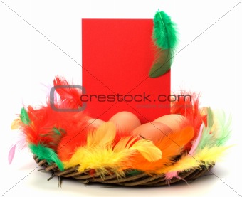 easter decor with card isolated on white background