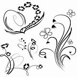 Collection of floral design element