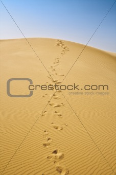 sand dunes and cloudless blue sky