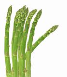 Fresh Asparagus Shoots