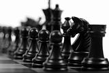 Black chessmen on a chessboard