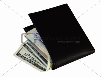 Money and male wallet