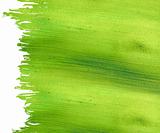 Green coconut paper with brushstroke