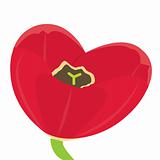 Heart-shaped tulip