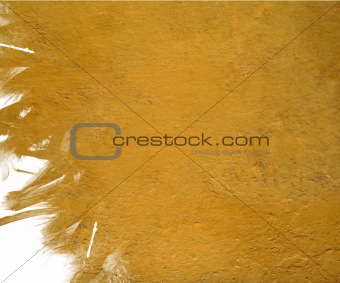 yellow gloss paint with grunge feather background