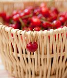 Cherry basket
