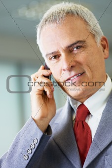 mature businessman on the phone in office