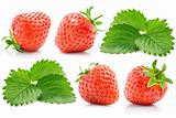 set fresh red strawberry with green leaves