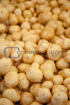 Fresh young potatoes