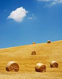 Golden straw bales in sunlight