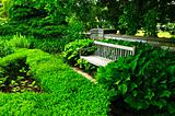 Lush green garden