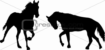 Horses silhouette