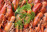 Crayfish and dill