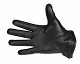 black glove on white background