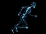 running skeleton