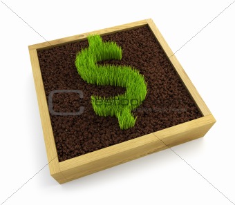 growing dollar symbol