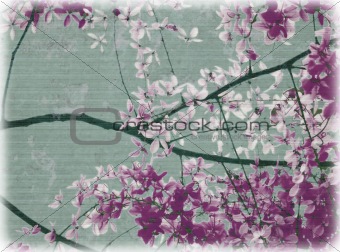 Purple and white flowers blossom