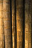 Old bamboo background