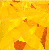Yellow and orange Tapioca leaves