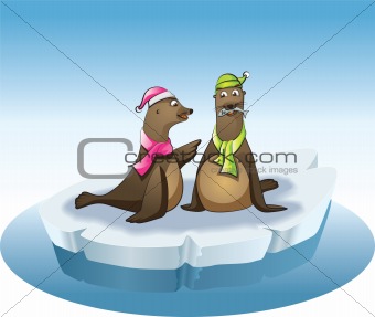 two seals fishing