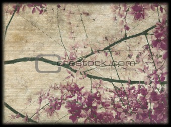 Pink and purple blossom background