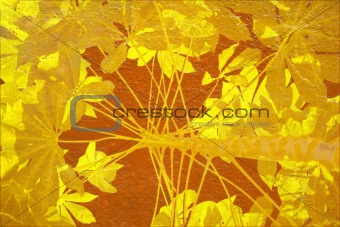 Yellow tapioca on orange background
