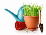 green grass in the pot with shovel tool