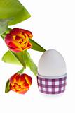 egg and tulips in spring