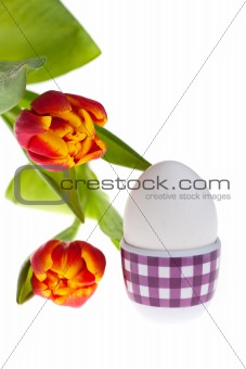 egg and tulips in spring