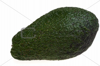 single avocado isolated on white background