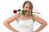 beautiful bride holding a red rose with her teeth
