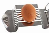 egg cutter with an egg isolated on white background