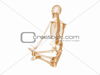 sitting skeleton
