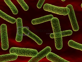 bacteria - close up